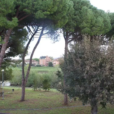 Stella * Empoli