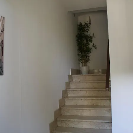 Stella - Empoli, Firenze *